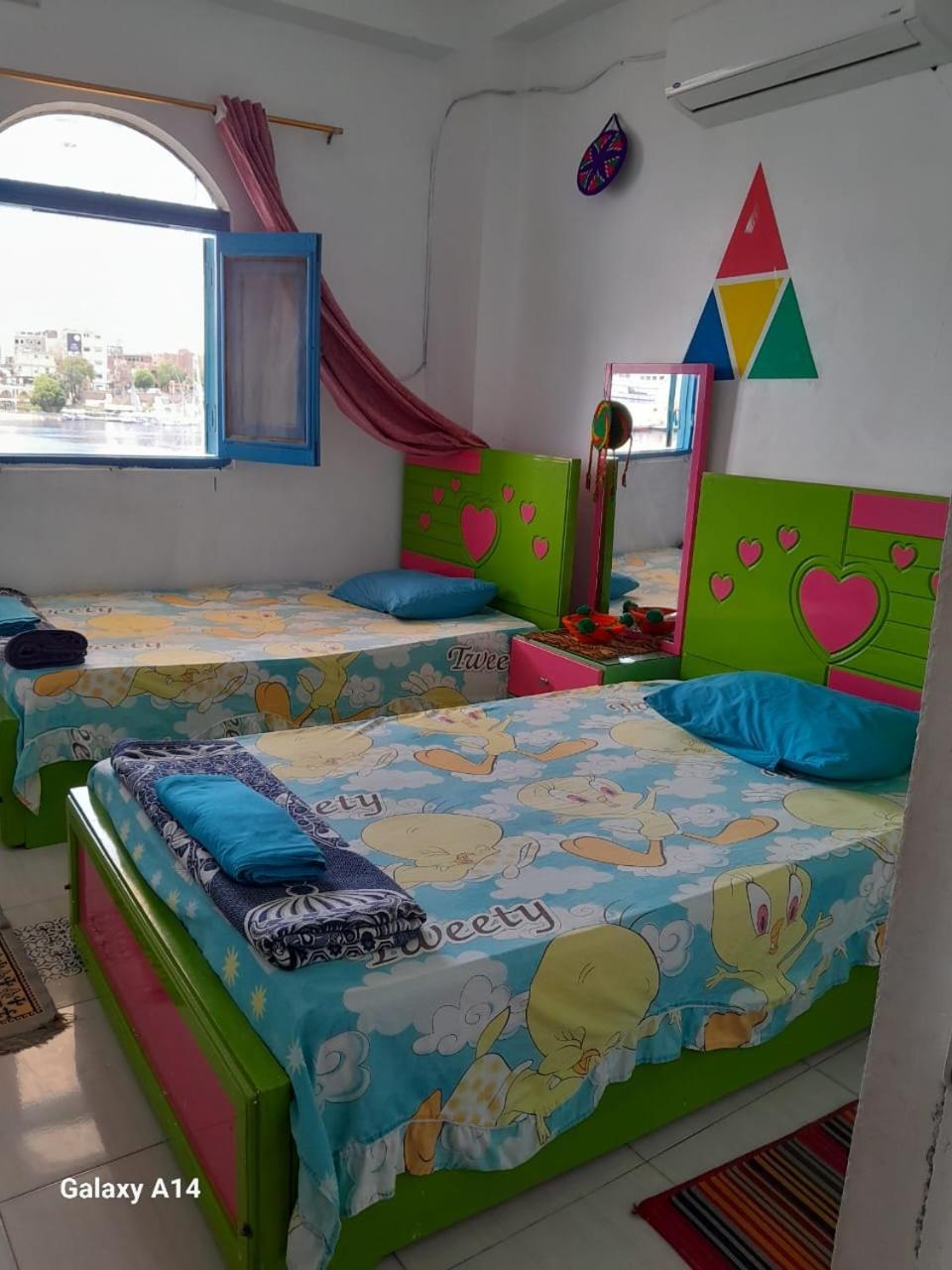 Nile View Rana Nubian Guest Houes Hotel Aswan Luaran gambar